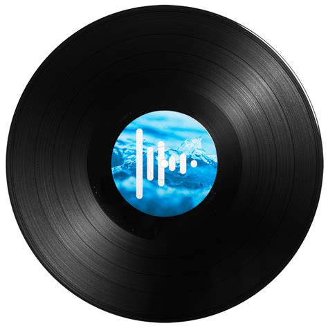 Fabricación De Discos De Vinilo Press Play Vinyl