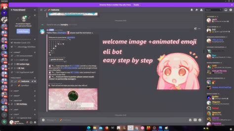 How To Set Welcome Image Discord Eli Bot Step By Step Aesthetic
