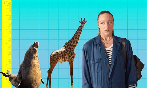 Netflixs The Tall Girl Offers Hope To All Conventionally Attractive