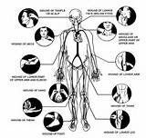 Pressure Points For Self Defense Pictures