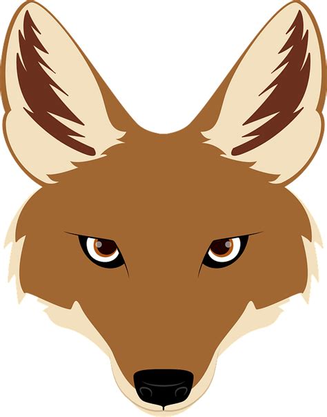 Jackal face clipart. Free download transparent .PNG | Creazilla