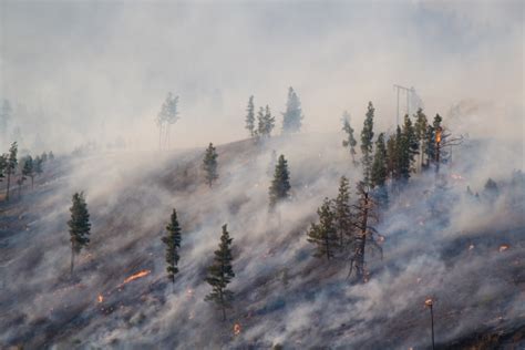 Montana Forest Fire 2007 Stock Photo Download Image Now Istock