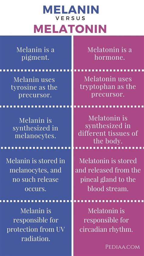 Difference Between Melanin And Melatonin