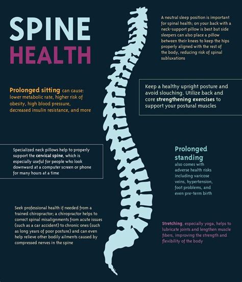 63baf3e0eefb23d8fa72678f77264f2d Spine Health Health Tips