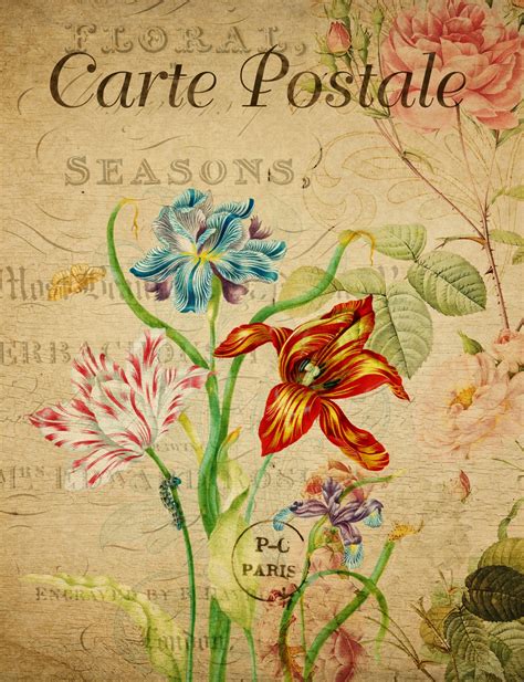 Tulips Vintage Floral Postcard Free Stock Photo Public Domain Pictures