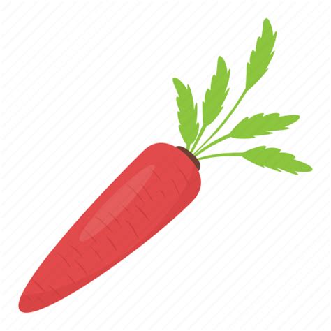 Carrot, food, red carrot, root vegetable, vegetable icon