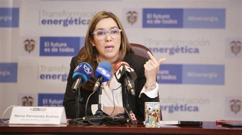 Renunció A Su Cargo La Ministra De Minas Y Energía María Fernanda