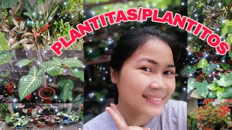 Plant Tour Sa Bahay Youtube
