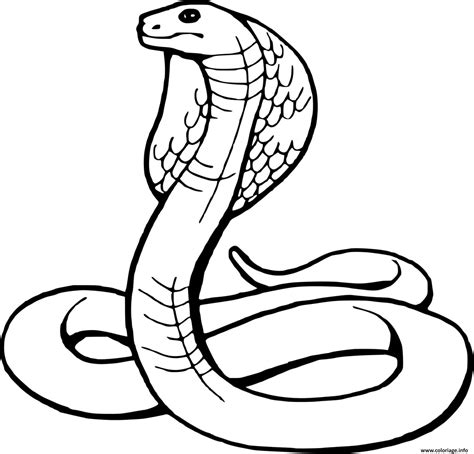 Coloriage Serpent Snake Dessin Serpent à Imprimer