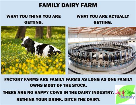 Rethink Your Drink Ditch Dairy There Are No Happy Cows In The Dairy Industry Vegan Tips
