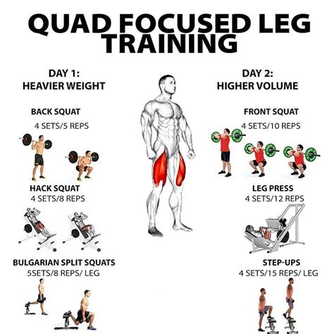 Quad Focus Leg Training R War2fit