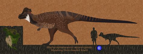 Pachycephalosaurus Land Before Time