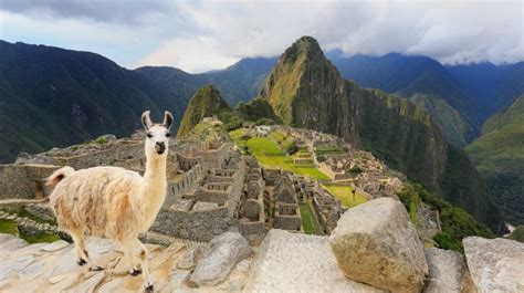 13 Things To Do In Machu Picchu Bookmundi