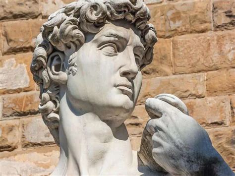 A Medical Insight In Michelangelos David Hiding In Plain Sight