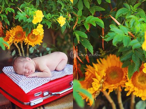 Newborn Baby With Sunflowers Photography Sunflower Photography