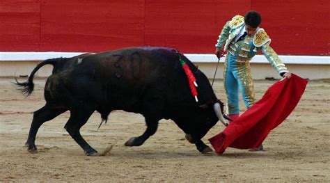 Discover Spain La Corrida De Toros Pierre