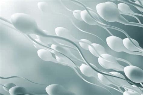 qualidade do esperma e alimentação melhor com saúde