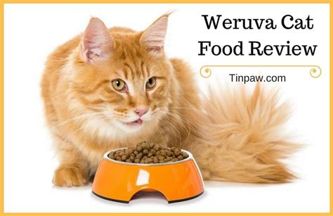 We did not find results for: Weruva Cat Food Review: Pros, Cons, and Everything You ...