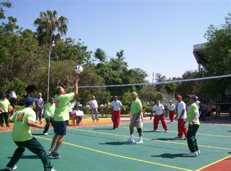 Juegos recreativos para favorecer la utilizacion de los primeros auxilios por los adolescentes. Actividad Física Para Adultos Mayores: VOLEIBOL