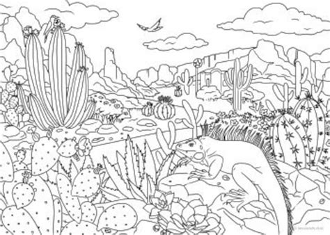 Desert Life Coloring Page Coloring Pages