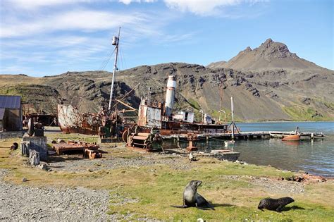 Grytviken Whaling Station All You Need To Know Before You Go