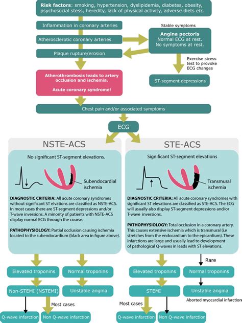 Classification Of Acute Coronary Syndromes Acs And Acute Myocardial