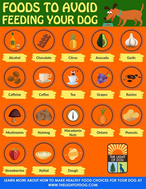 They can irritate your bladder. Foods to avoid feeding your dog - The Light Of Dog