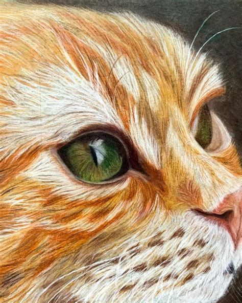 Colored Pencil Ginger Cat Video Ginger Cat Art Watercolor Cat