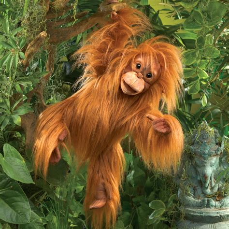 Wie muss sich eine mutter fühlen, die so gejagt wird, dass sie nicht einmal mehr ihr baby versorgen kann? Baby Orangutan puppet in Folkmanis