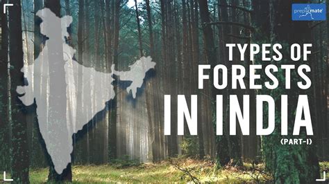 Different Types Of Forest Found In India What Are The Different