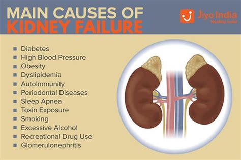 Causes Of Kidney Failure Remedies For Kidney Infection Healthy
