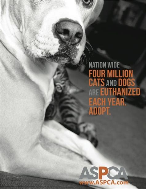 Aspca Online Store Is The Official Store For The American Society For