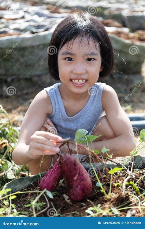 chinese farm girl erotic telegraph