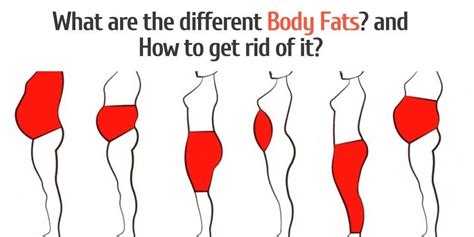 Here Are The 6 Different Types Of Body Fat You Need To Know Also Try These Tips To Get Rid Of