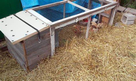 Brooder Pen Backyard Chickens Learn How To Raise Chickens