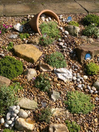 Ideal for rockery gardens, and creating decorative beds and borders. Alpine garden : Grows on You | Pebble garden, Rockery ...