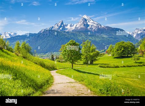 Idyllic Landscape With Hiking Trail In The Alps With Fresh Green