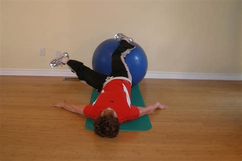 Single Leg Raise And Cross With The Exercise Ball