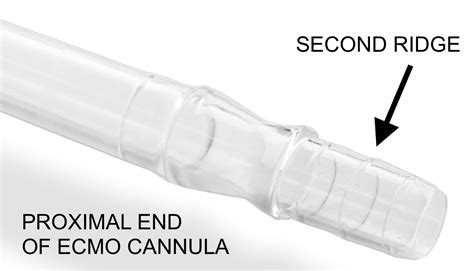Ecmo Cannula Ridges For Connection Intensive