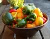 Check spelling or type a new query. Easy Tips for Fall Vegetable Gardening in Houston