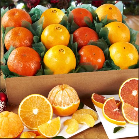 Four Orange Varieties Tropical Fruit Shop