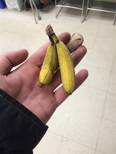 Banana For Scale Wait What Pics