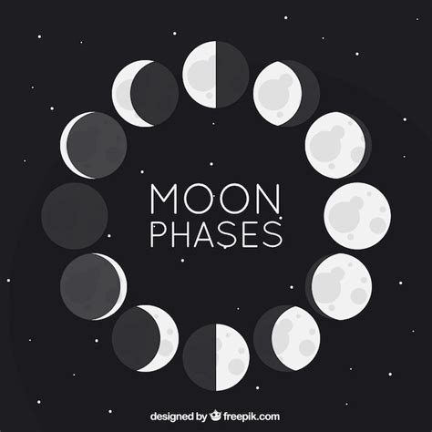 Free Vector Flat Moon Phases