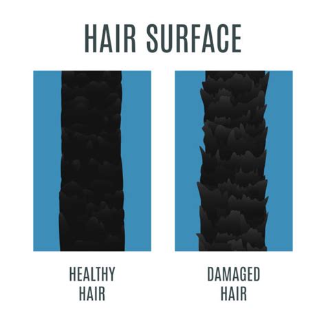 Hair Close Up Texture Illustrations Royalty Free Vector Graphics