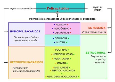 PolisacÁridos BiologÍa Y GeologÍa