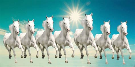 Seven Horses Wallpapers Top Free Seven Horses Backgrounds