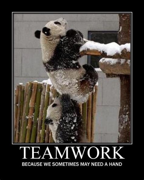 47 Inspirational Teamwork Quotes And Sayings With Images