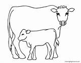 Cow Coloring Print sketch template