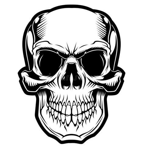 Skull And Smile Stock Vector Illustration Of Head Dread 6865001