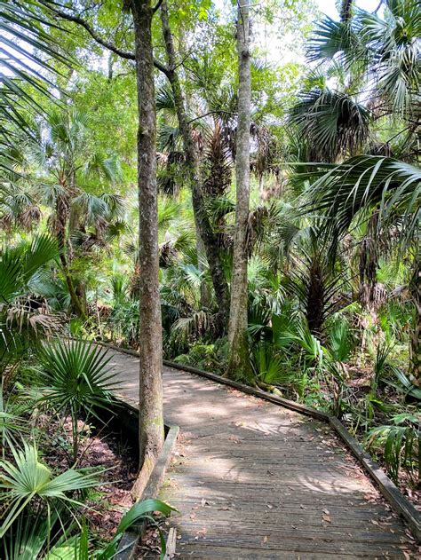 Wekiwa Springs A Day At Central Florida S Secret Natural Oasis